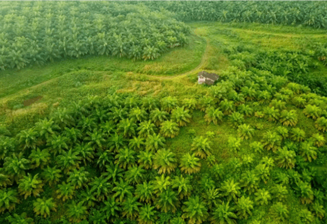 Capture d'écran 2024-04-17 184722